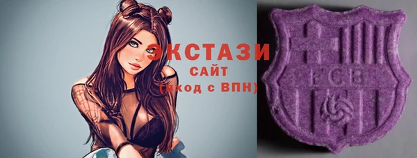 твердый Лагань