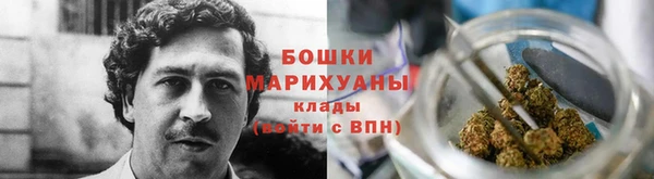 дмт Новокубанск