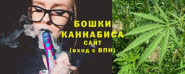 твердый Лагань