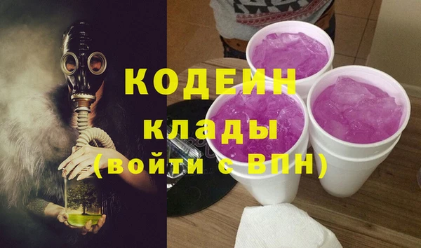 твердый Лагань