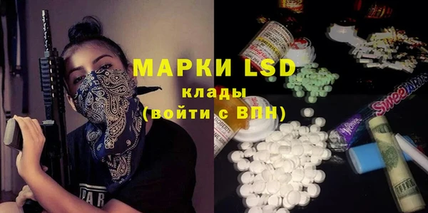 твердый Лагань