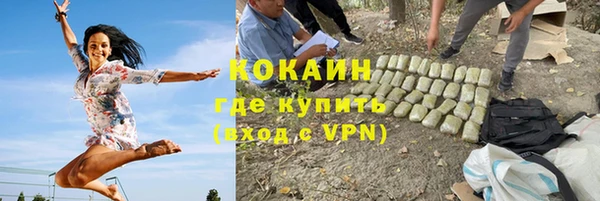 твердый Лагань