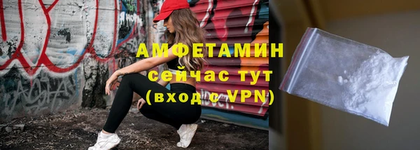 твердый Лагань