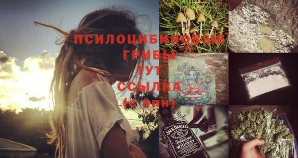 мескалин Лабытнанги
