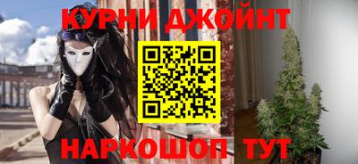 стафф Гусев