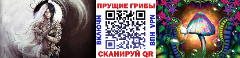 Псилоцибиновые грибы прущие грибы  мега онион  Шебекино 