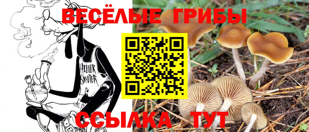 Псилоцибиновые грибы ЛСД Шебекино