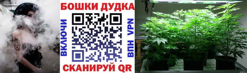 купить сайты Шебекино Шишки марихуана White Widow