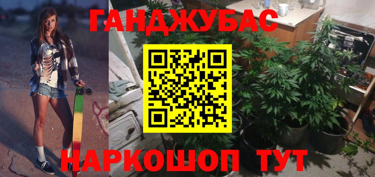 Шишки марихуана планчик Шебекино